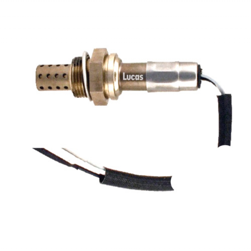 LECS003