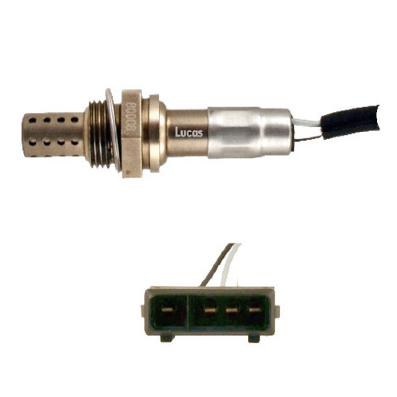 LECS016