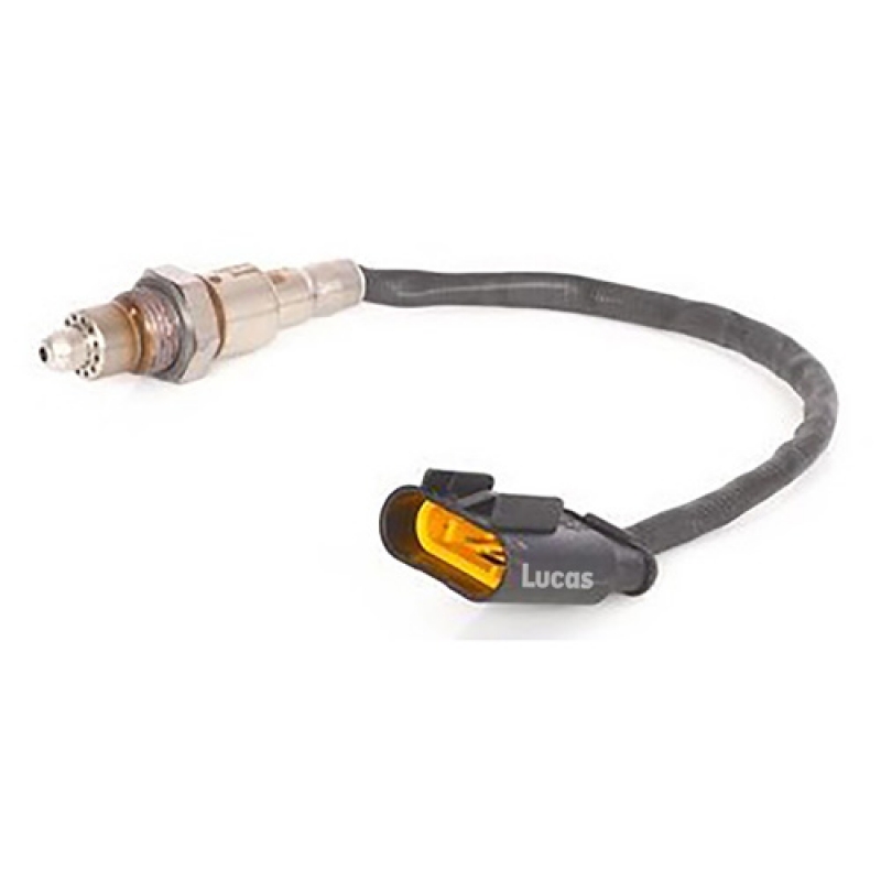 LECS097