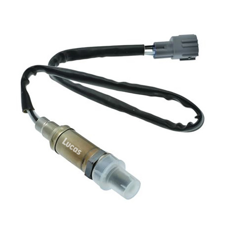LECS100