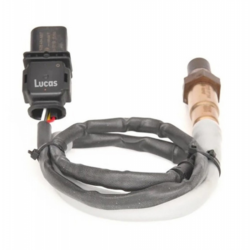 LECS104