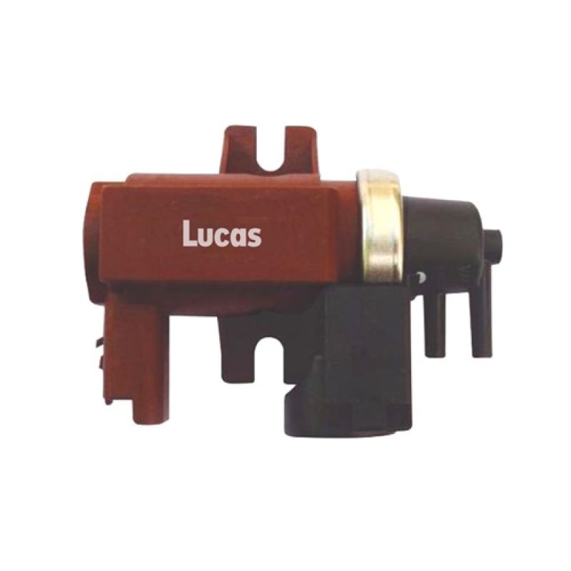 LECV004