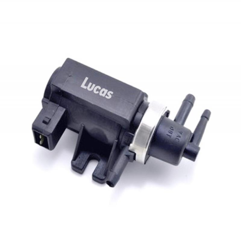 LECV010