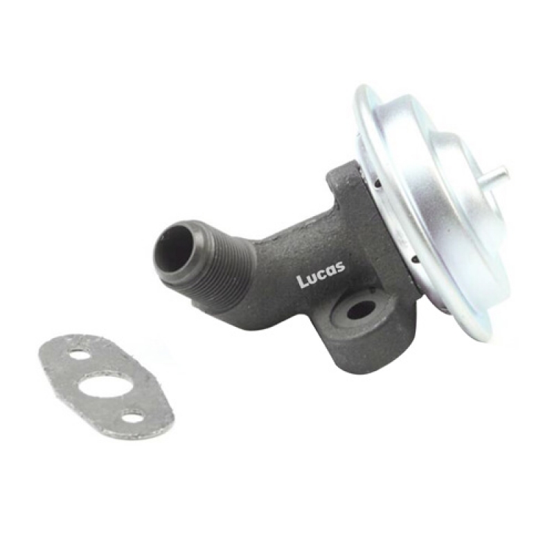 LECV020