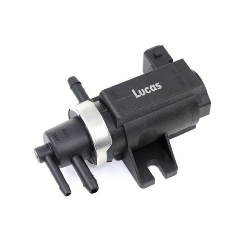 LECV022