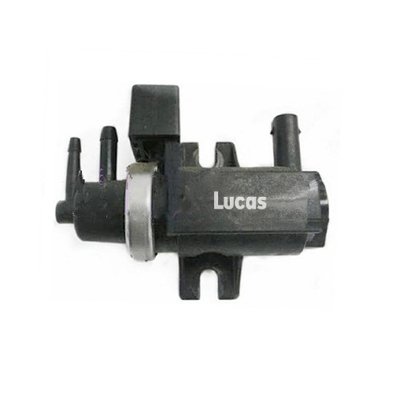 LECV023