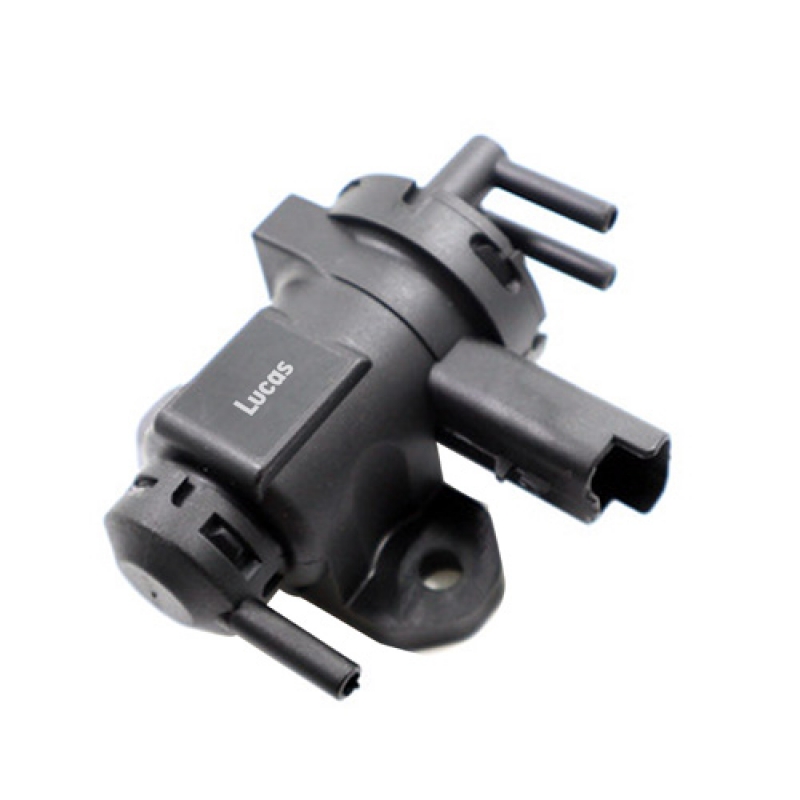 LECV025