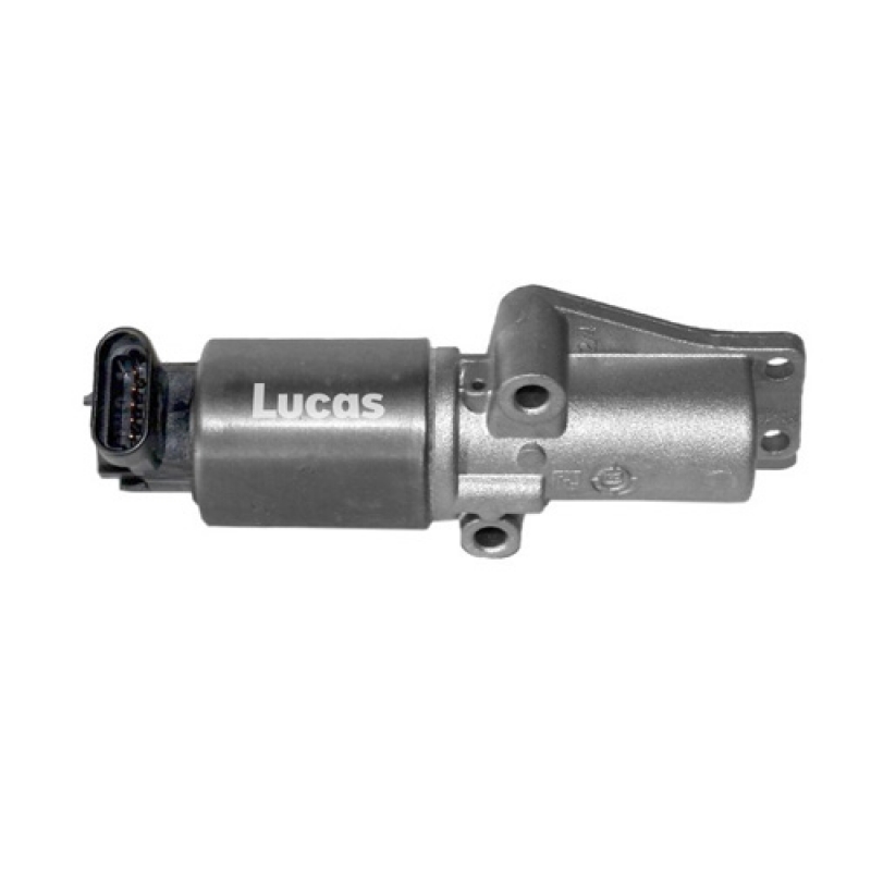 LECV029
