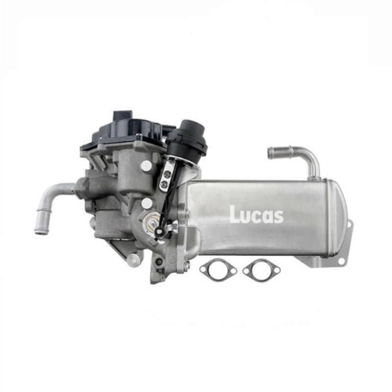 LECV030
