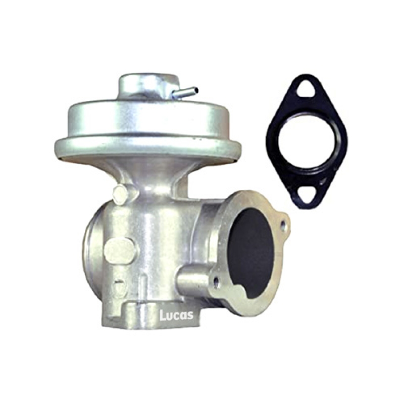 LECV040
