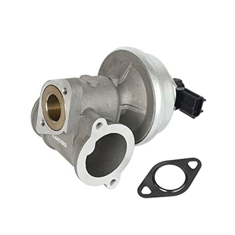 LECV041