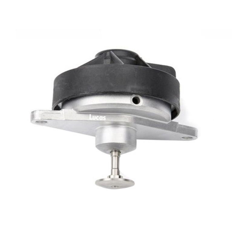 LECV045