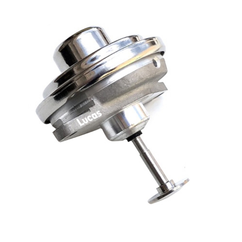 LECV046