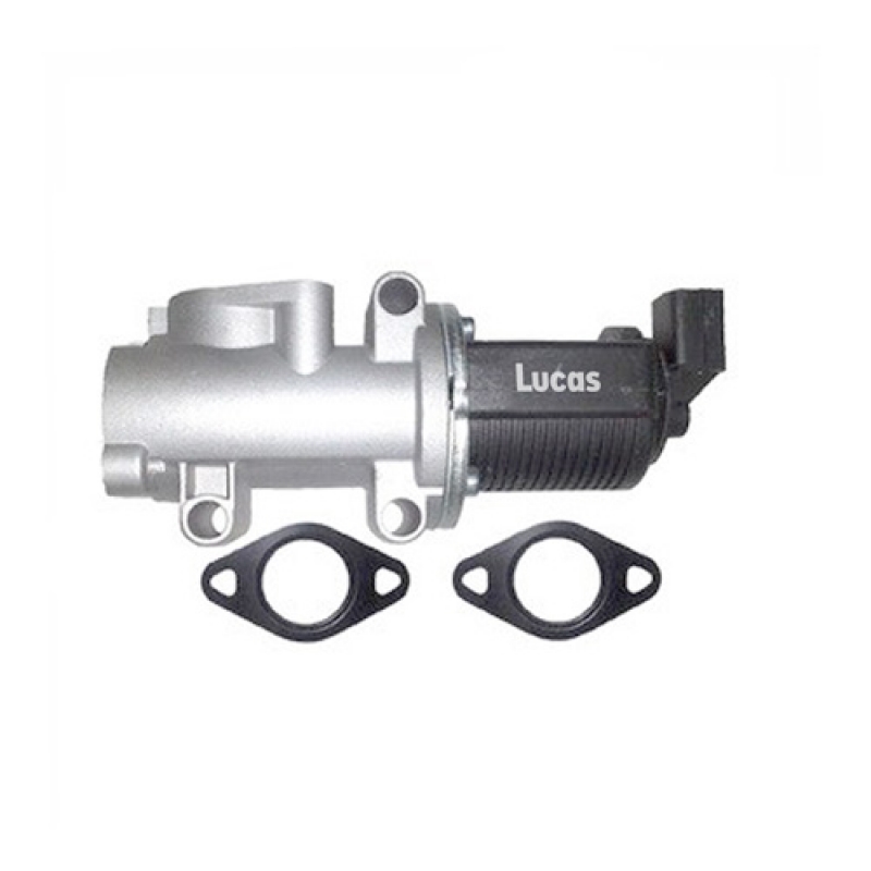 LECV050