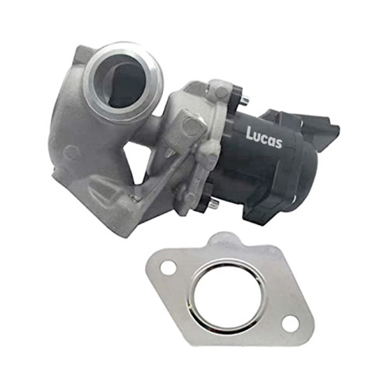 LECV059