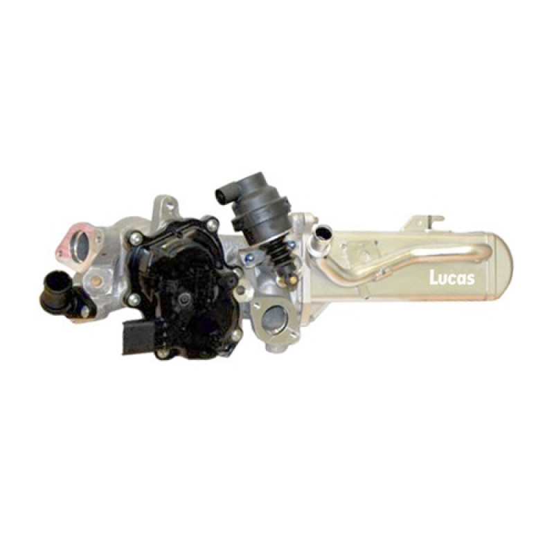 LECV067