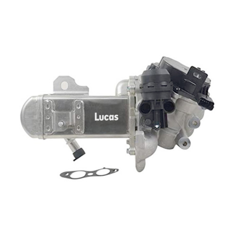LECV068