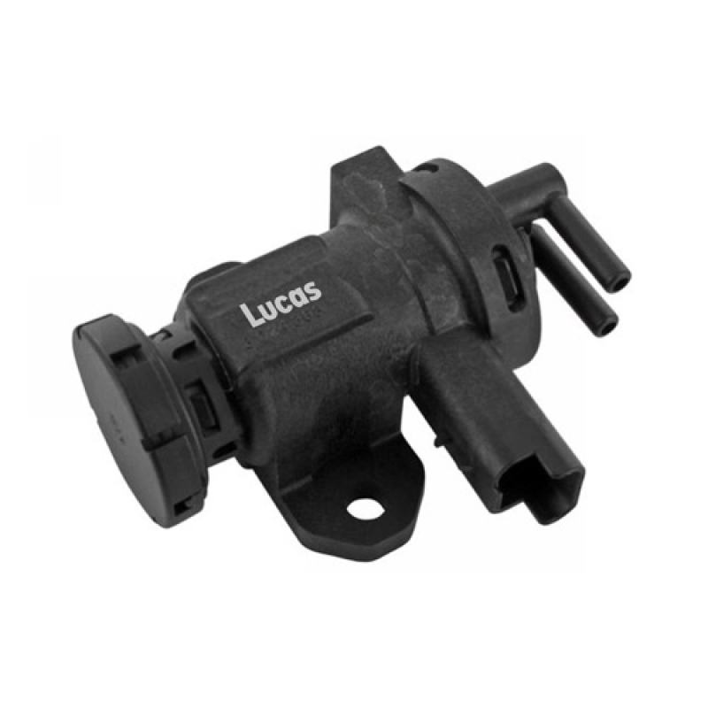 LECV070