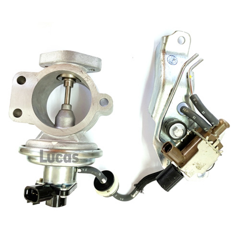 LECV071