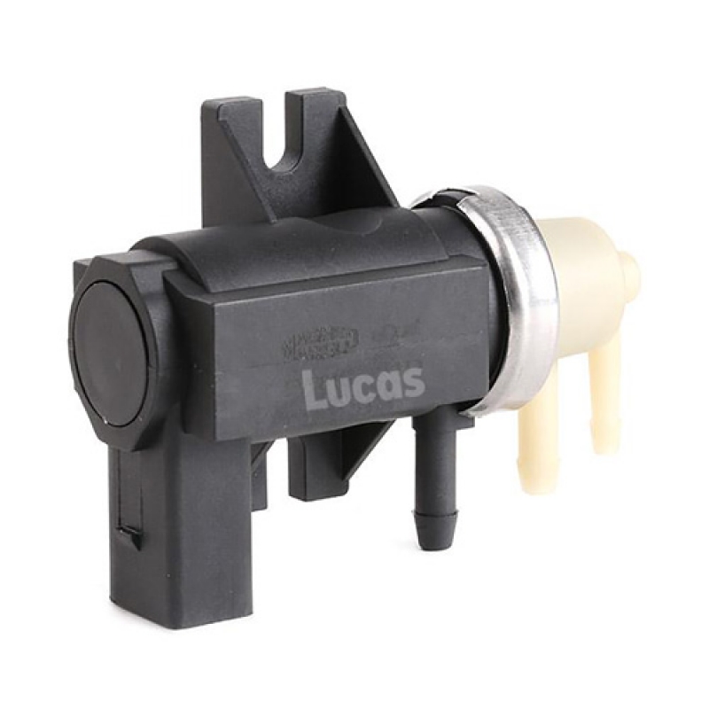 LECV073