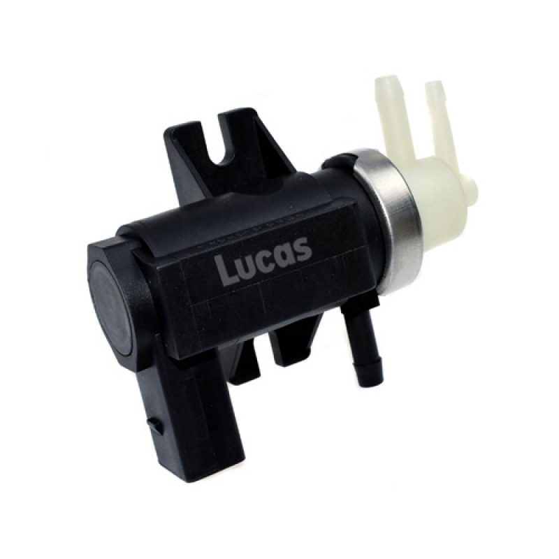 LECV074