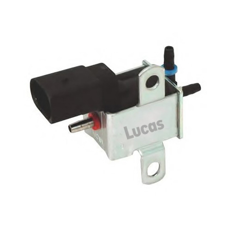 LECV075