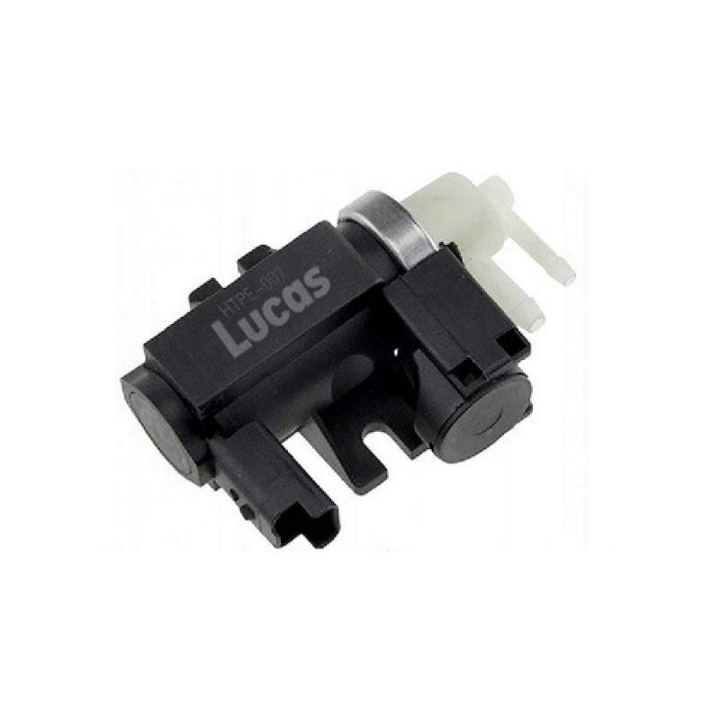 LECV076