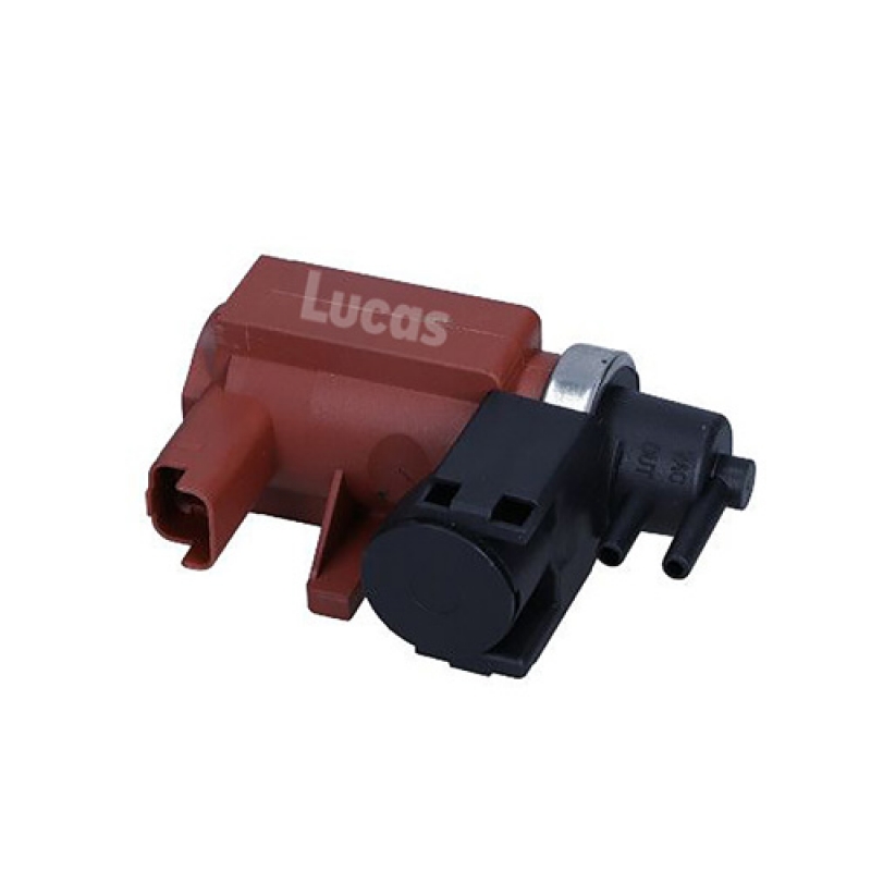 LECV077