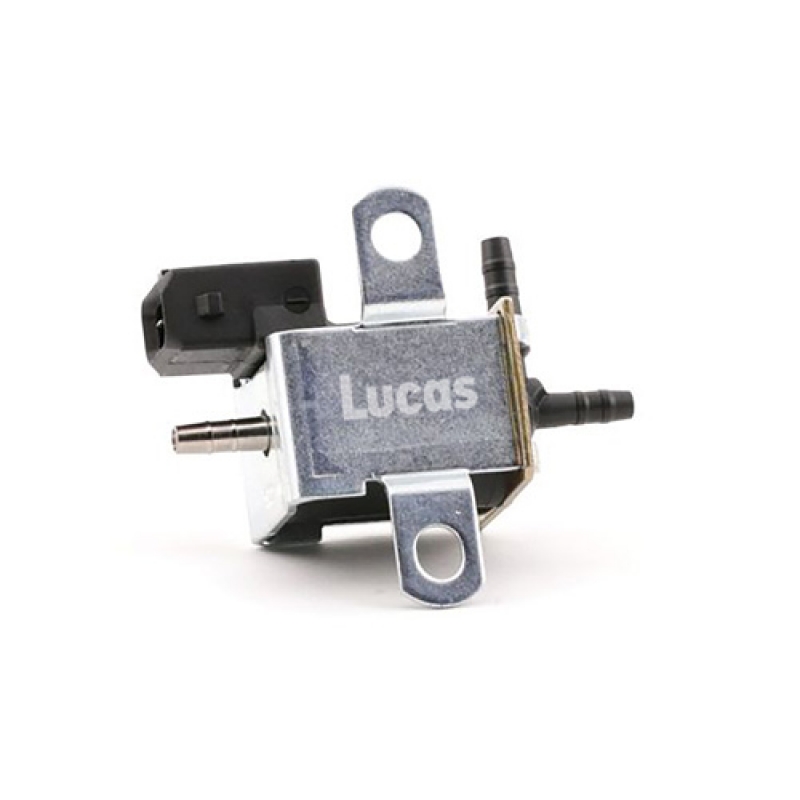 LECV078