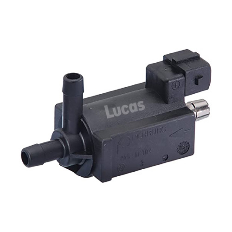 LECV080