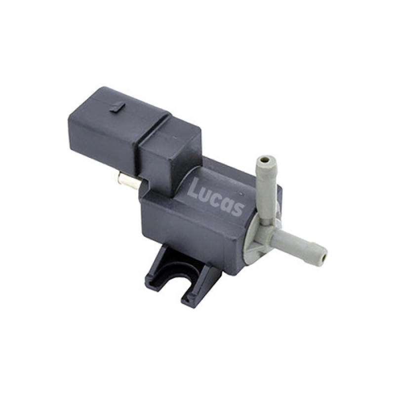 LECV082