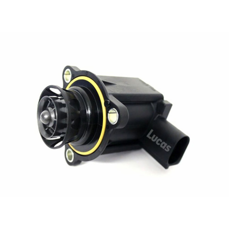 LECV083