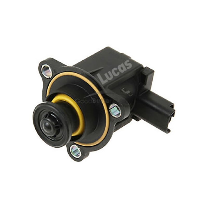 LECV084
