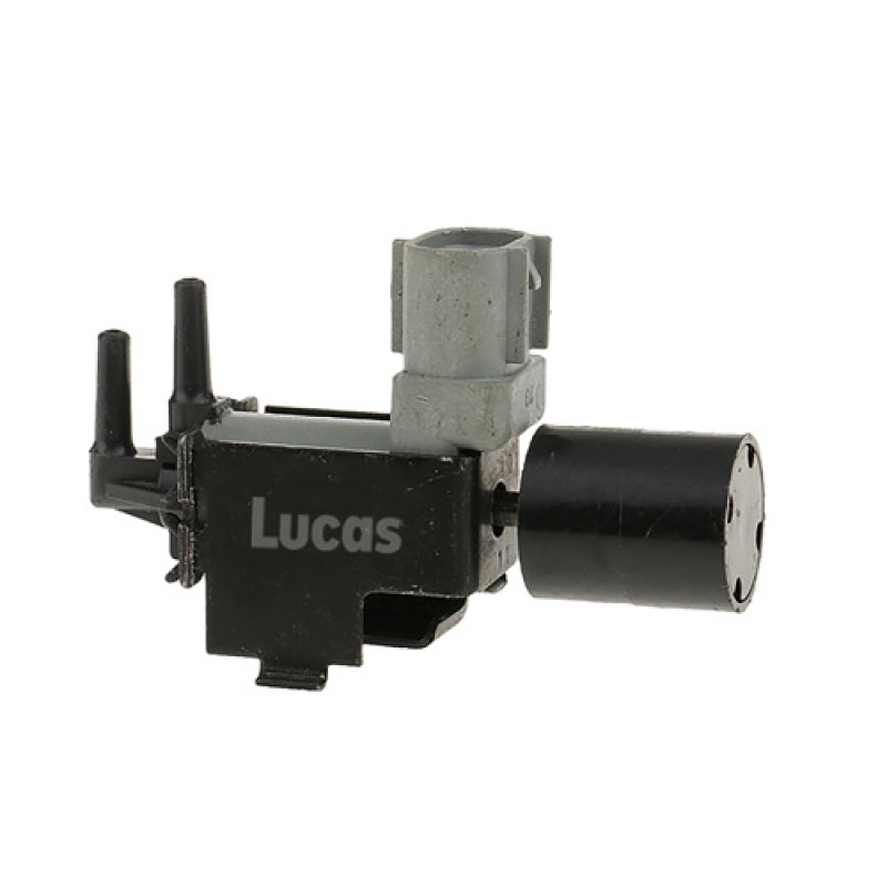 LECV086