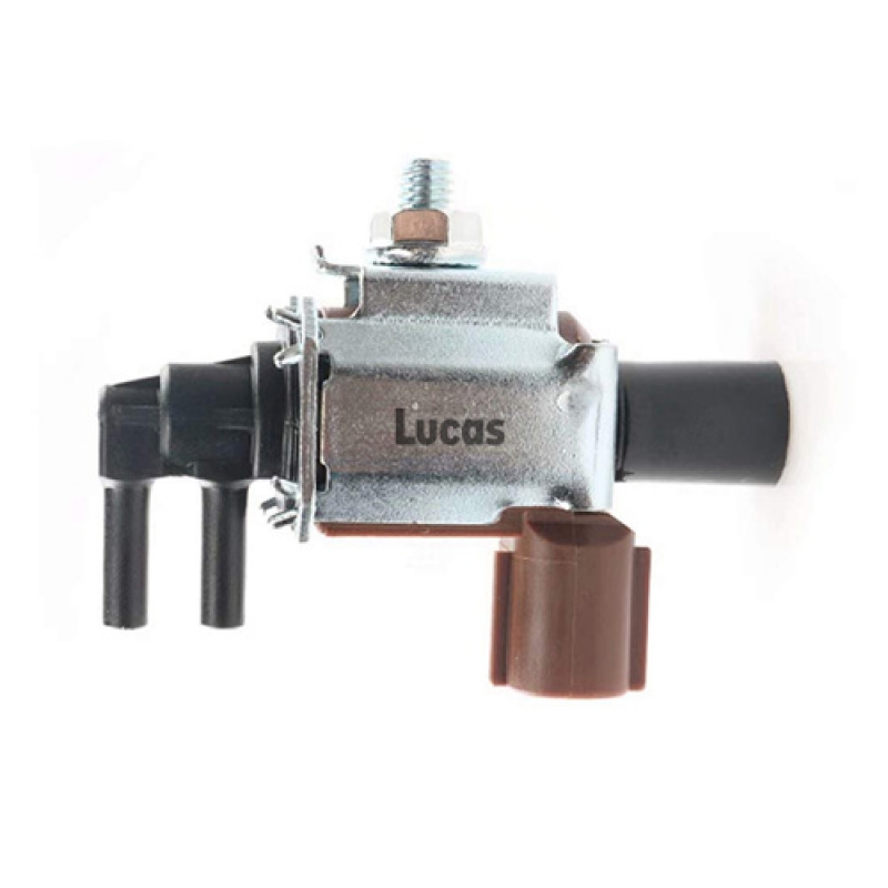LECV088
