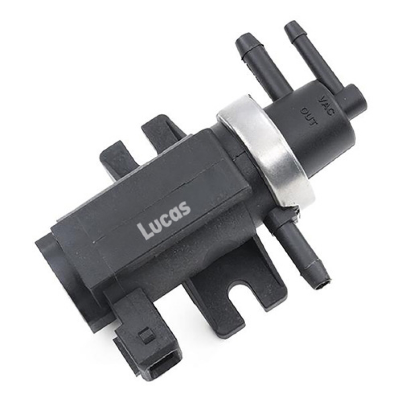 LECV089