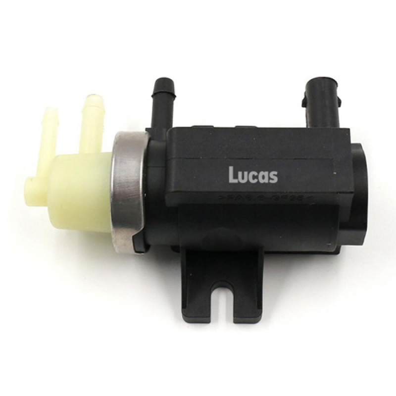 LECV091