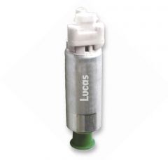 LEFS031