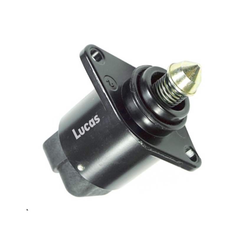 LEICI013