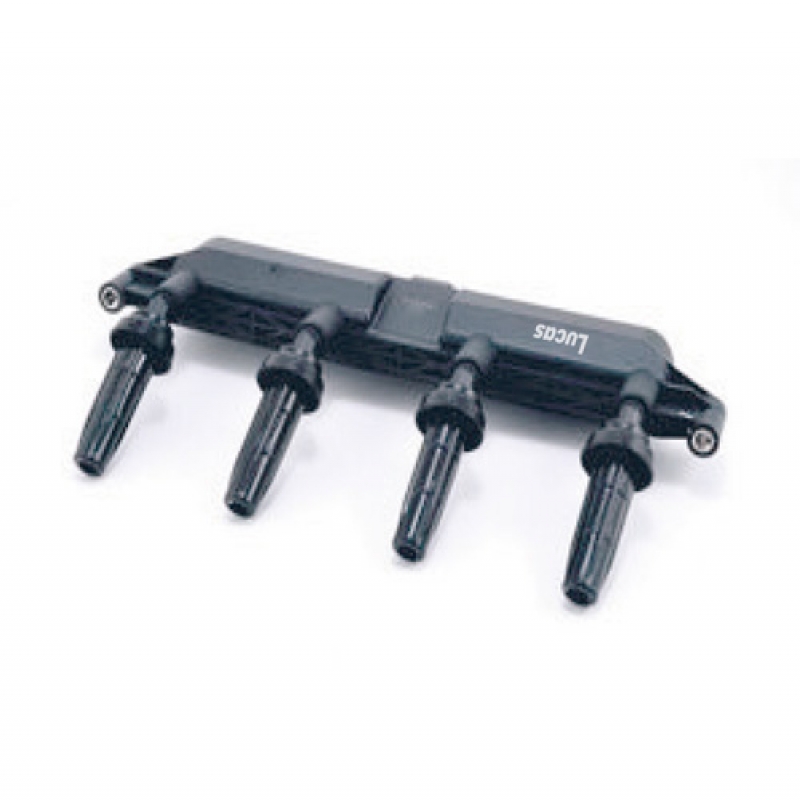LEIG010