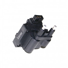 LEIG068