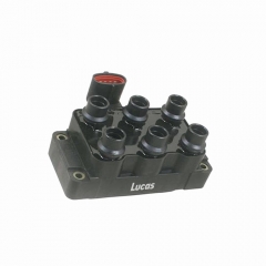 LEIG163