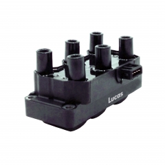 LEIG206