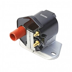 LEIG210