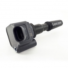 LEIG229