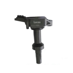 LEIG236