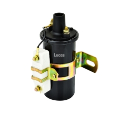 LEIG239