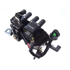 LEIG245