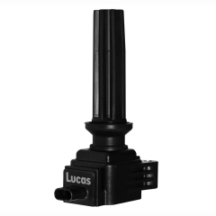 LEIG252