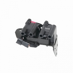 LEIG301